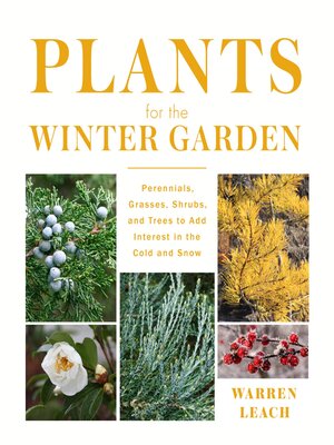 cover image of Plants for the Winter Garden